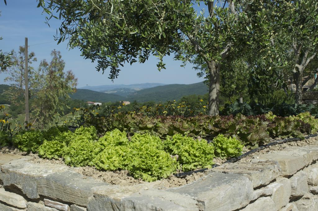 Agriturismo Erta Villa Casole dʼElsa Exteriör bild