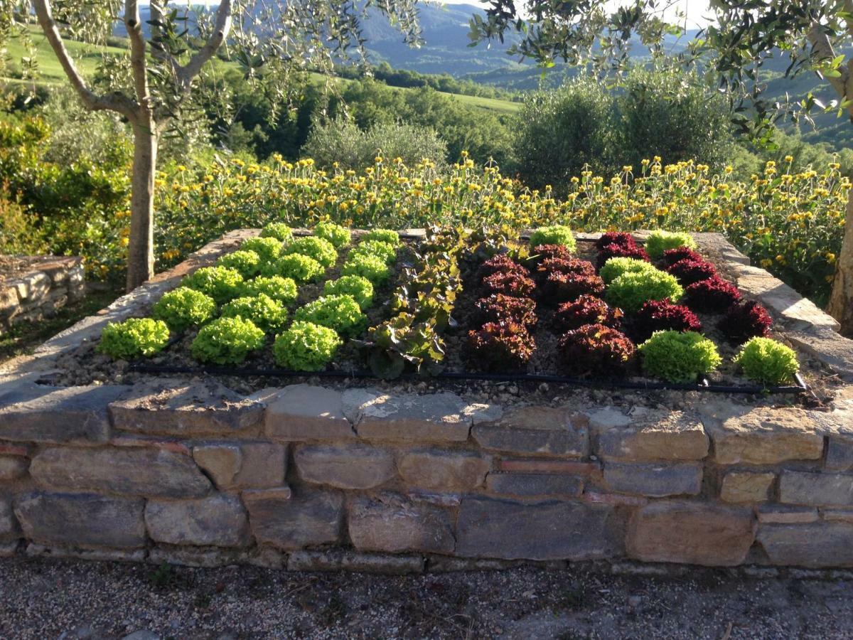 Agriturismo Erta Villa Casole dʼElsa Exteriör bild