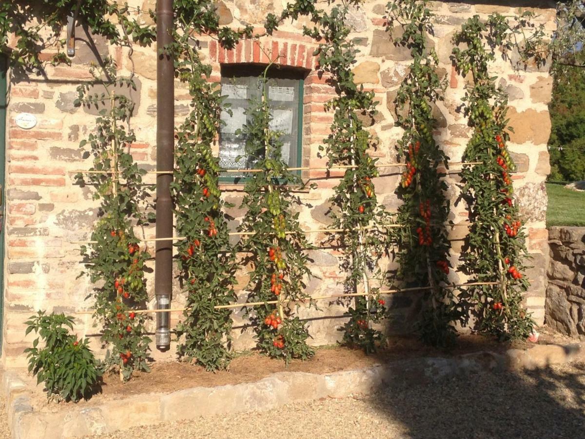 Agriturismo Erta Villa Casole dʼElsa Exteriör bild